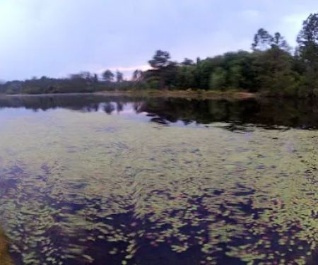 LakeView RV Resort