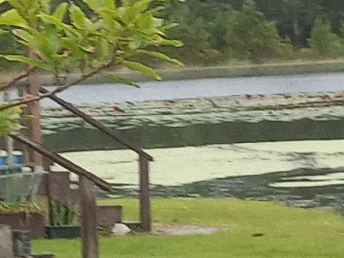 LakeView RV Resort 10