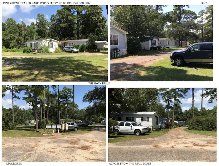 Pine Grove Trailer Park 1