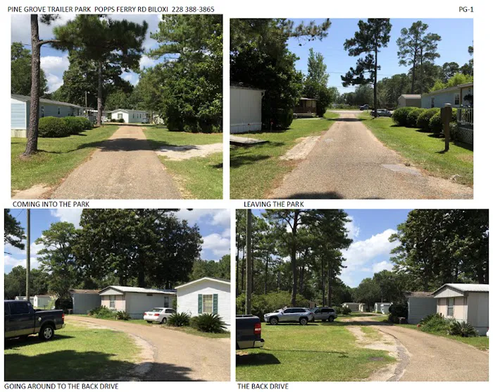 Pine Grove Trailer Park 2