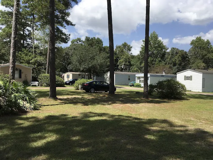Pine Grove Trailer Park 5