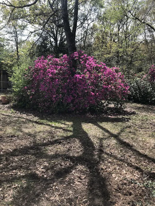 Southern Breeze RV Park 5