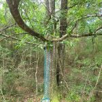 Rainbow Cove Camp Site