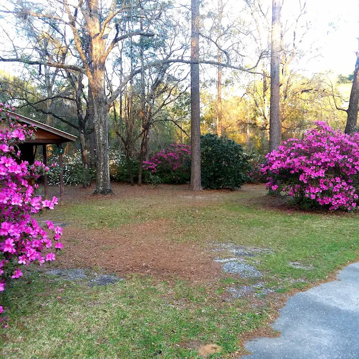 Yonder Woods Mobile Home & RV Park 4
