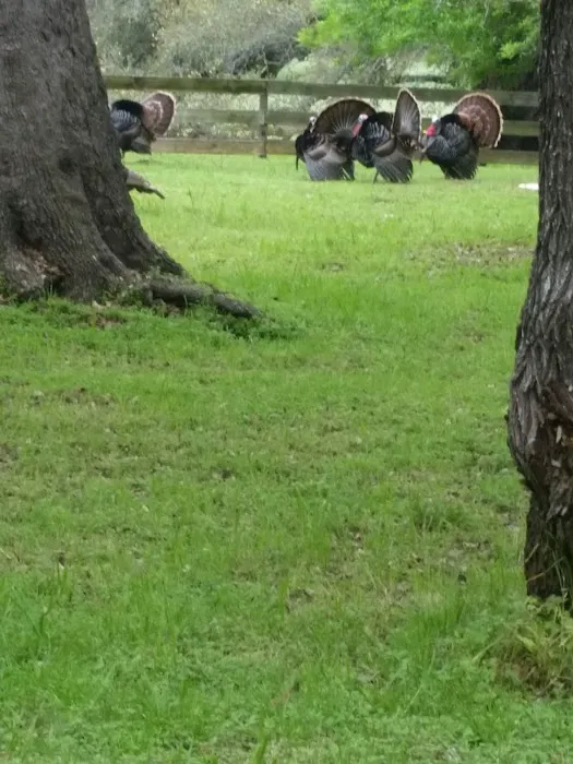 Country View RV Park 2