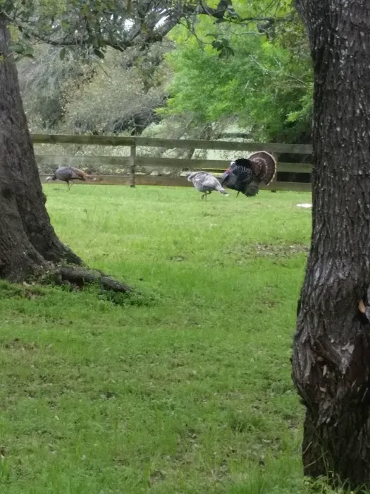 Country View RV Park 3