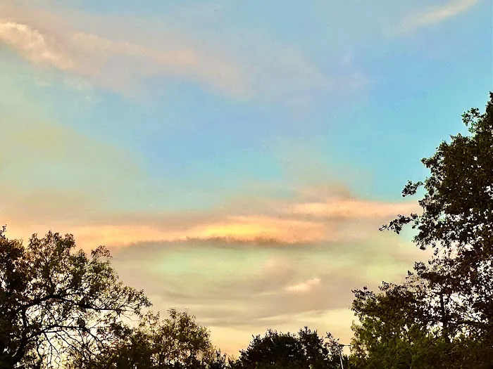 The Oasis RV Park - Nixon TX 4