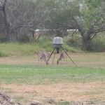 Country Comfort RV Park