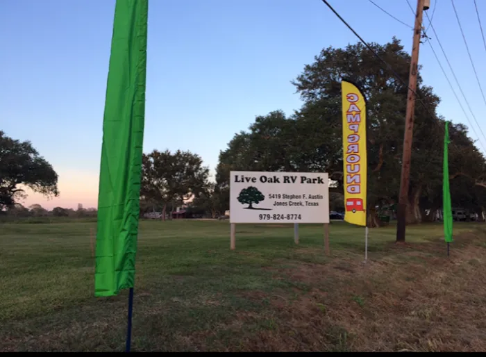 Live Oak RV Park 3