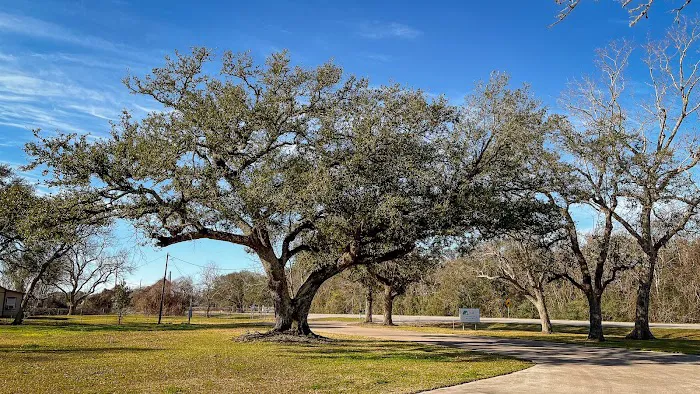 Quilly's Cozy Traveler RV Park 9