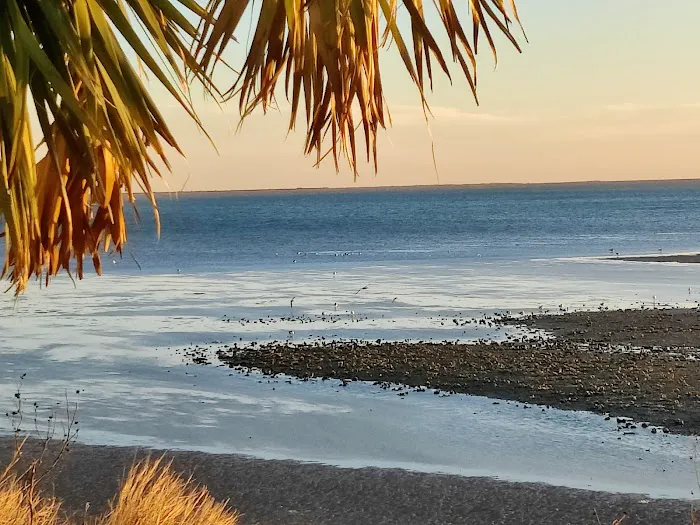Reel World RV Park 5