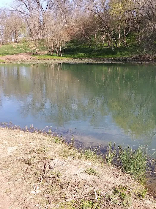 Spencer Canoes & Shady Grove Campground 6