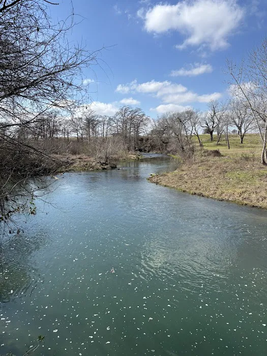 San Marcos River Campground 1