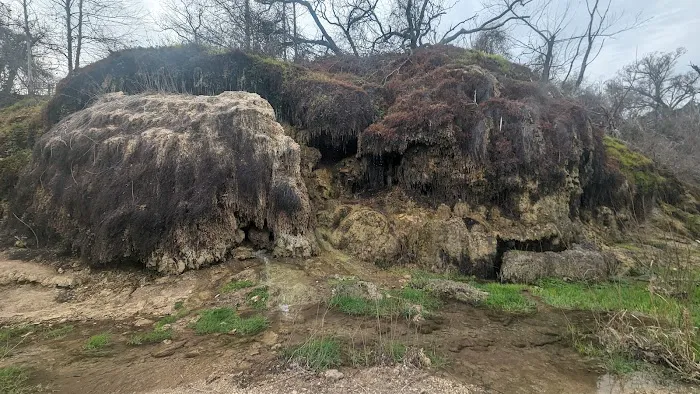 Campsite #004 1