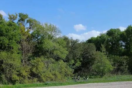 Youth Group Campsite