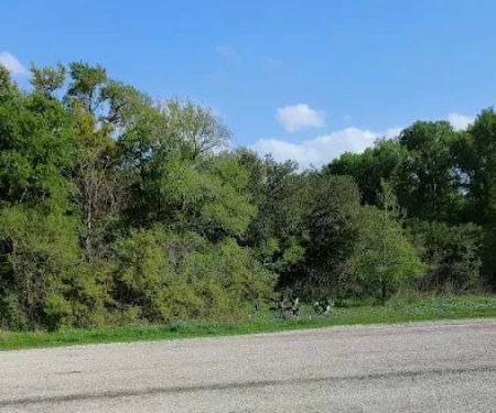 Youth Group Campsite