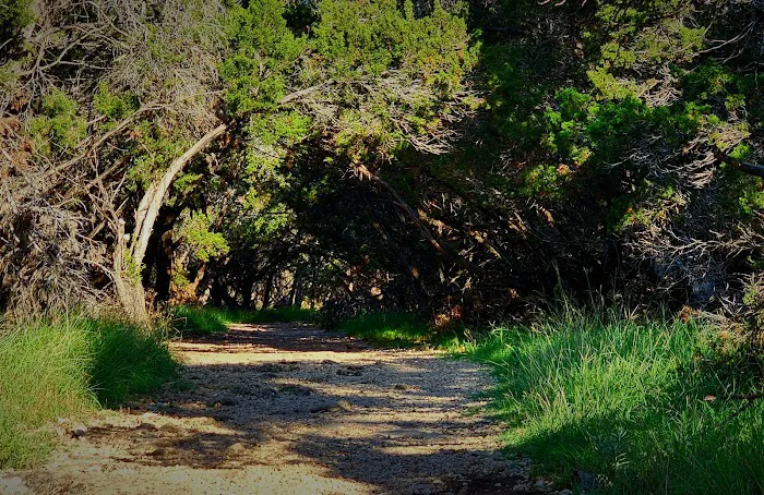 Campsite #028 4
