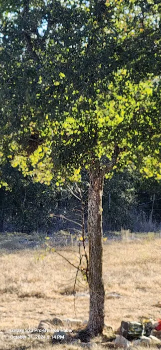 Texaska Trails RV Ranch 7