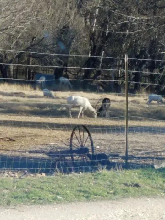 Inks Lake RV Park Inc 2