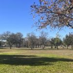 Lake Park Buchanan