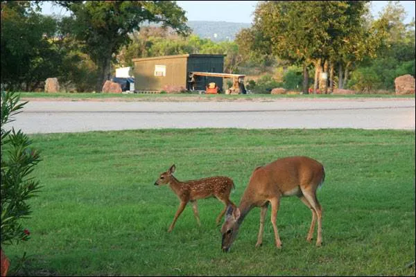 Lake Buchanan RV & Cabin Resort 3