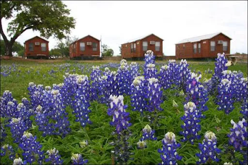 Lake Buchanan RV & Cabin Resort 8
