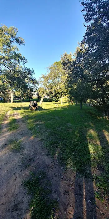 Shady Oaks Riverside Rv Retreat 8