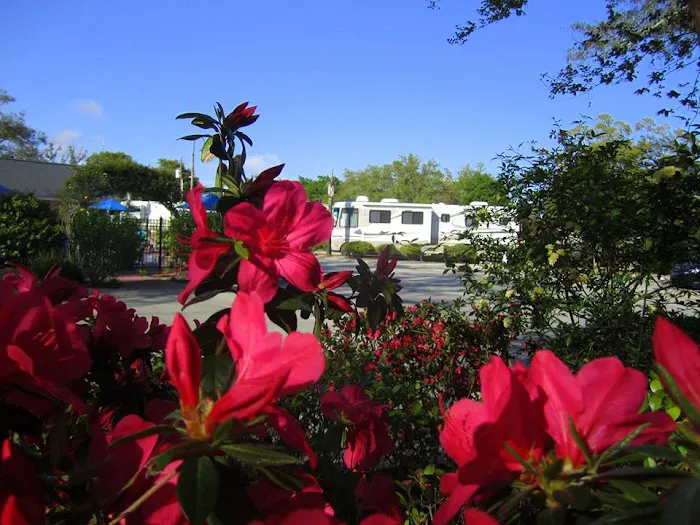 Majestic Oaks RV Resort 9