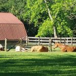 Martin Lake Resort Inc