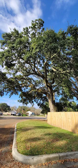 Boomtown Biloxi RV Park 5