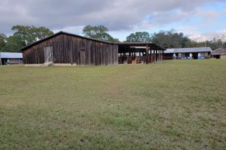 Camp Huck-a-Berry