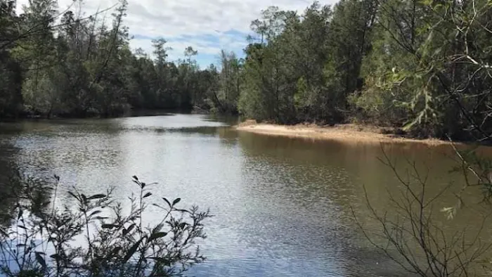Bluff Creek Campground 4