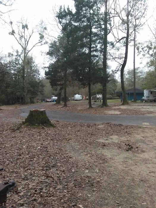 Bluff Creek Campground 6