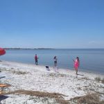 Alexis Place Mobile Home Park