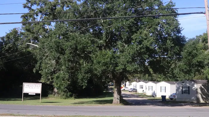 Camellia Trace Mobile Home Park 3
