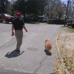 City RV Parks