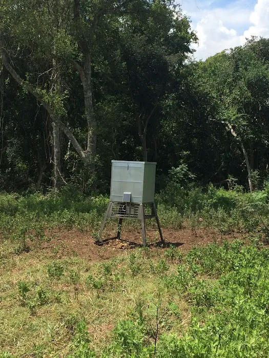 Cissy's RV Ranch 5