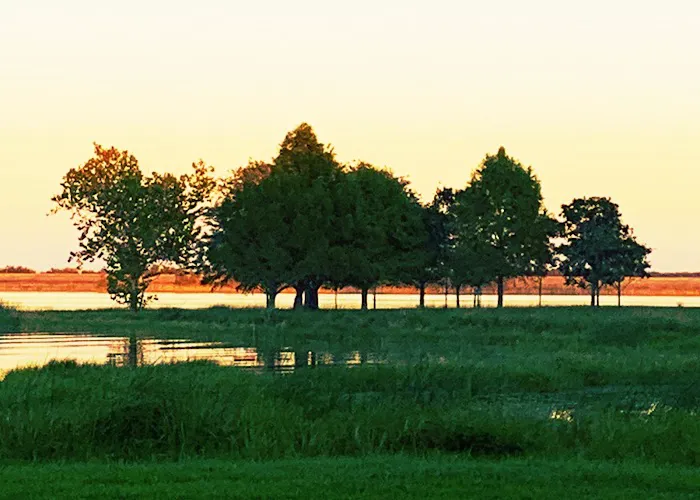 Coleto Creek Reservoir & Park 1