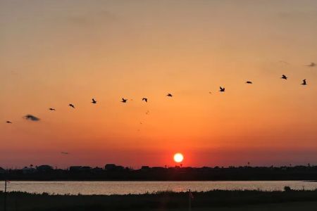 Sargent Beach RV Park