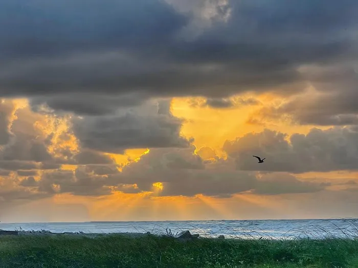 Sargent Beach RV Park 6