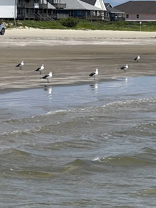 Surfside 5