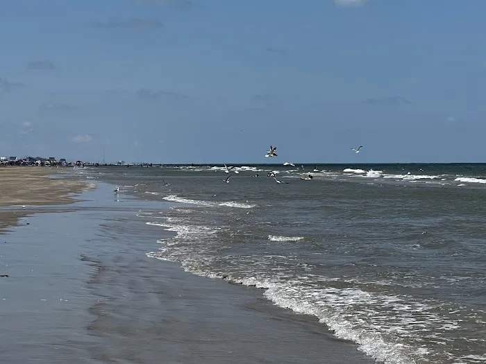Surfside 8