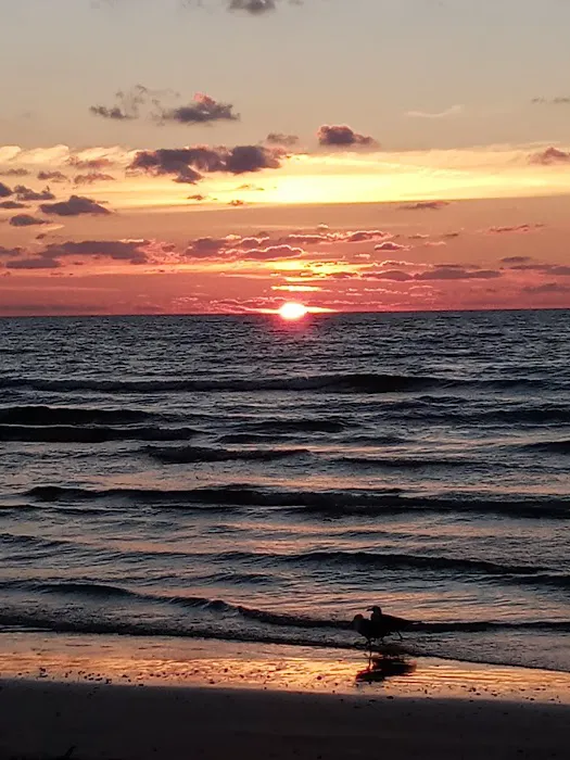 Surfside Beach RV Park 4