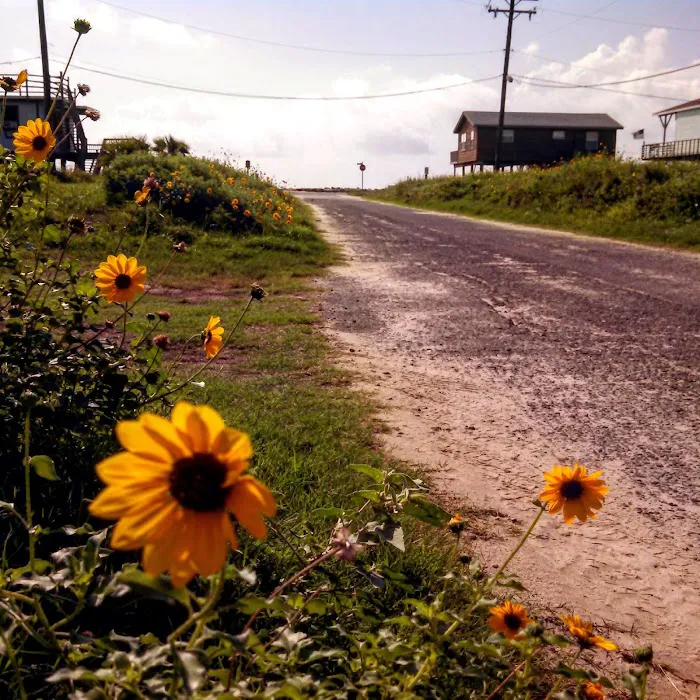 Austin's Landing RV Park Resort 7
