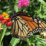 Quintana Beach County Park