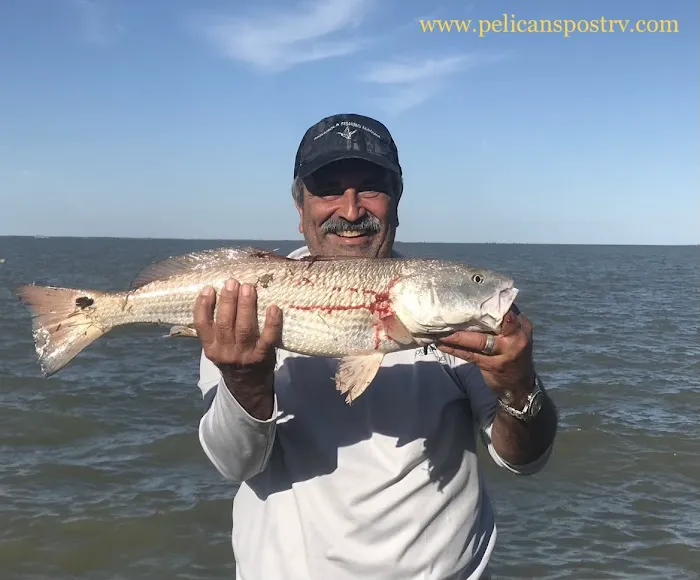 Pelican's Post RV Park 4