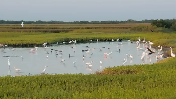 Magnolia Beach RV Park - Port Lavaca Texas 7