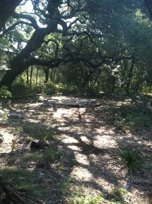 Twisted Oaks camp 3