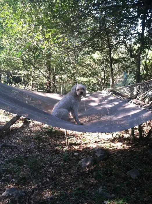 Twisted Oaks camp 4