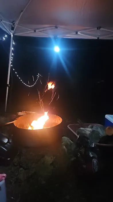 Twisted Oaks camp 6